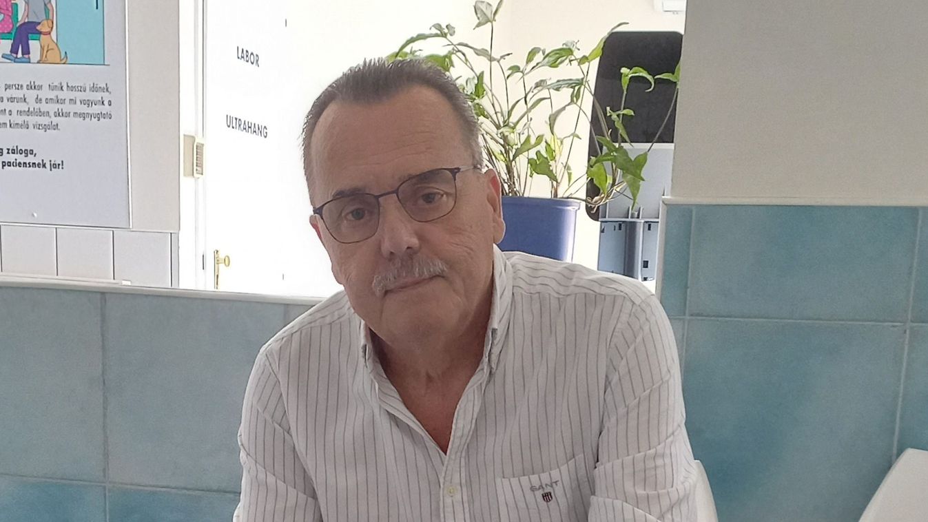 A nyár veszélyei kedvenceinkre