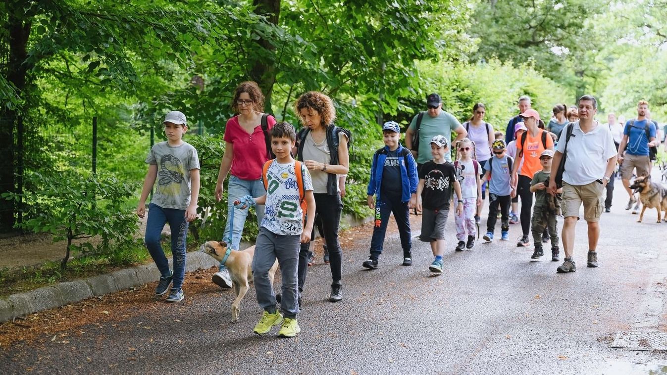 A mályi túraszakkör Jávorkútra készül