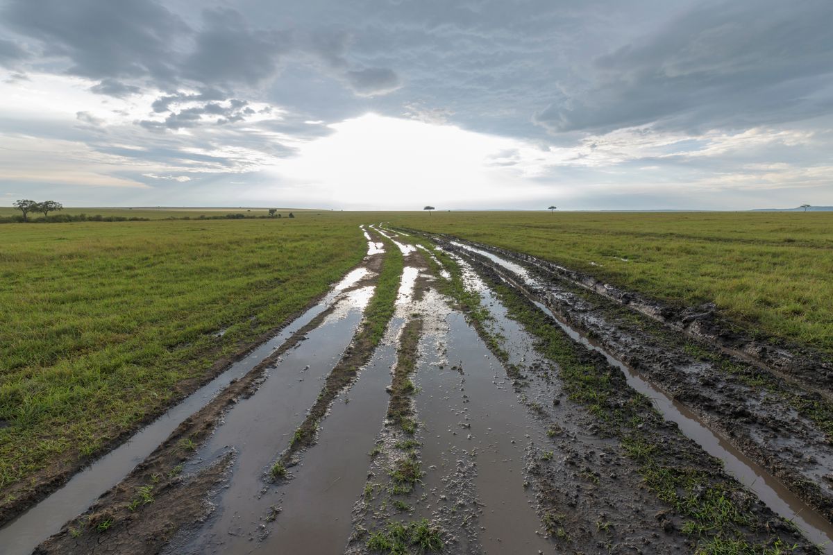 road after rain in savannah, Masai Mara National Reserve, Kenya, Africa