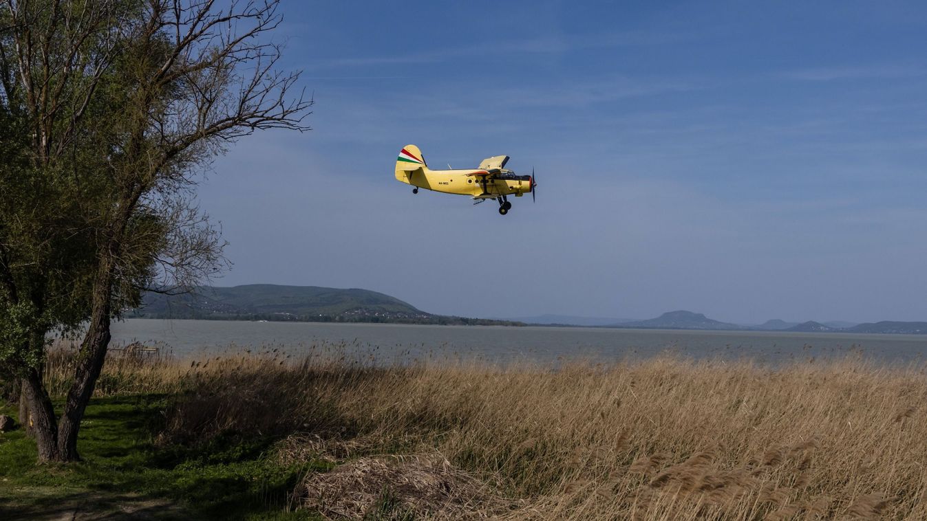 Irtják a szúnyogokat a Duna és a Lajta mentén