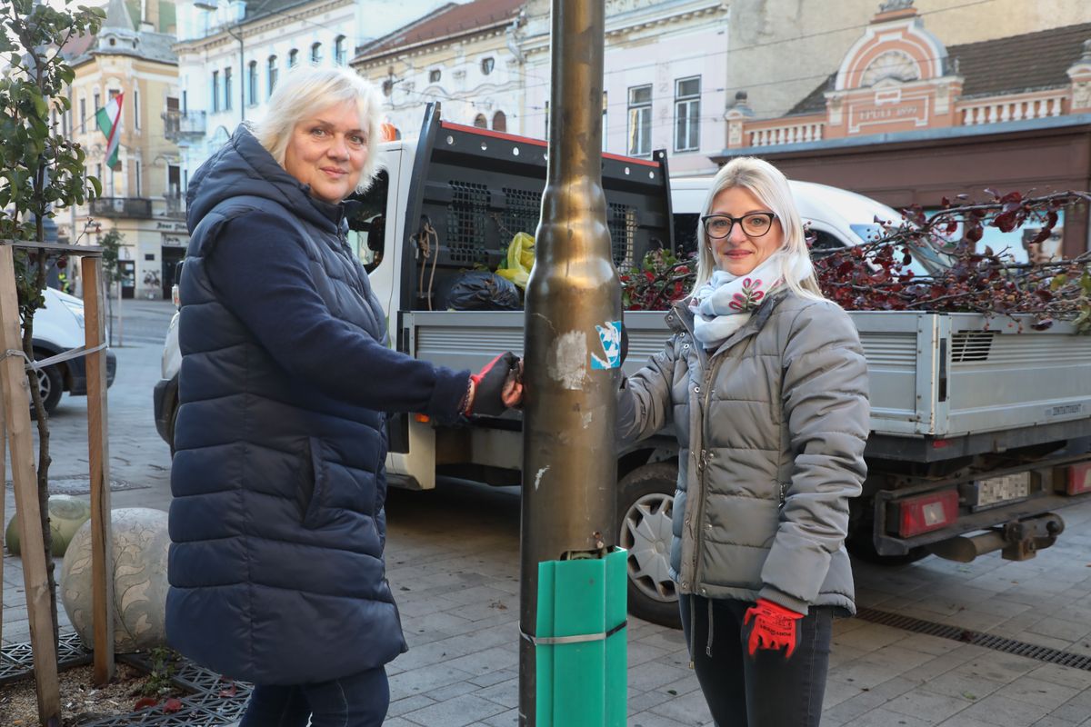 őszi nagytakarítás, Miskolc, miskolci belváros