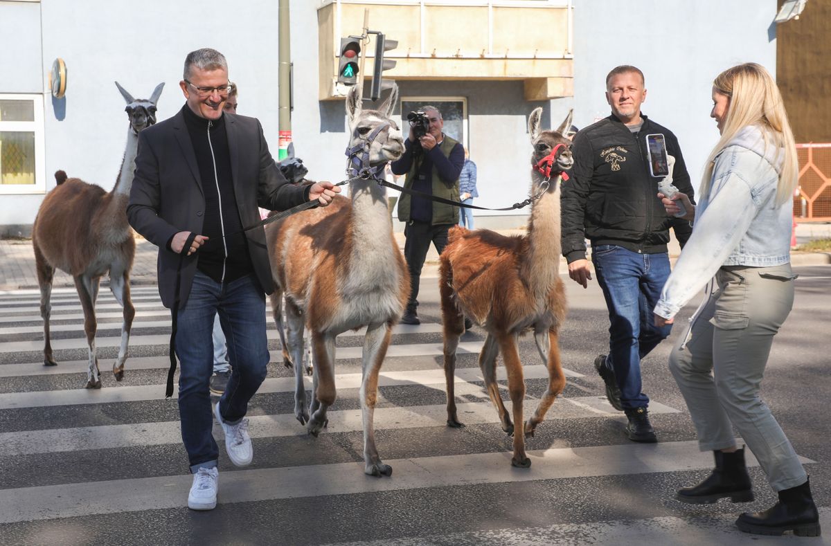 közlekedésbiztonság, rendőrség, borsod-abaúj-zemplén