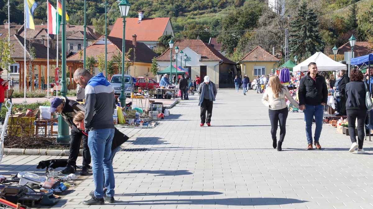 tokaj, régiségvásár