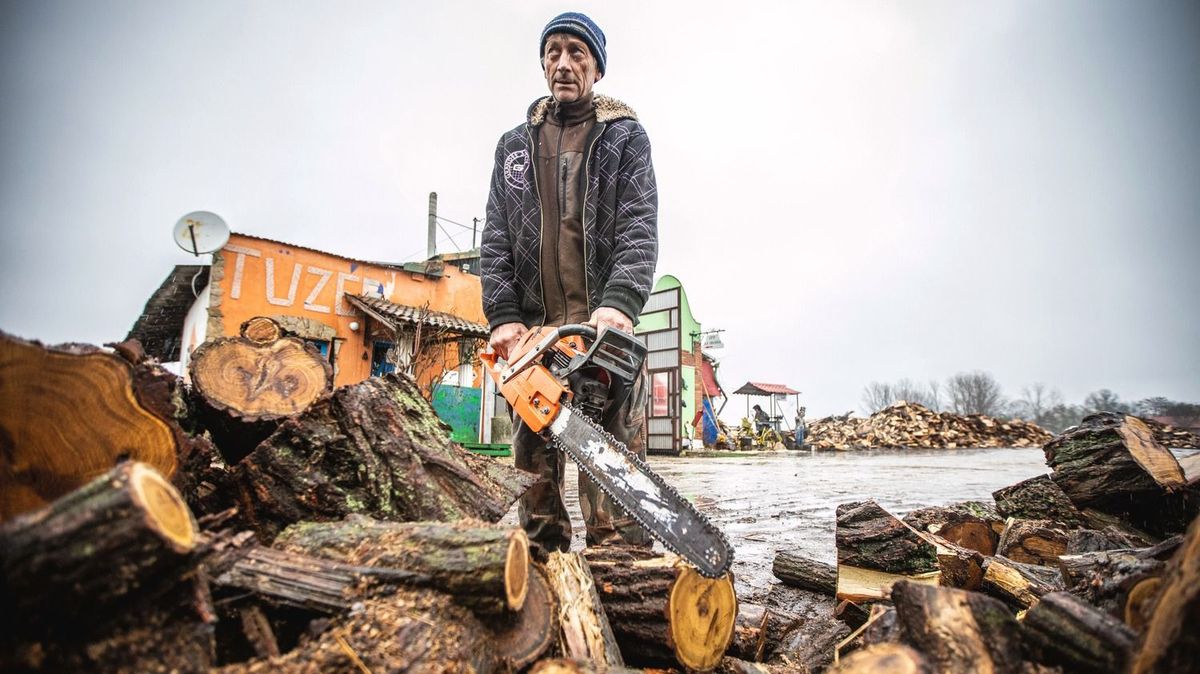 tűzifa tűzifavásárlás tüzelőanyag Mihók István