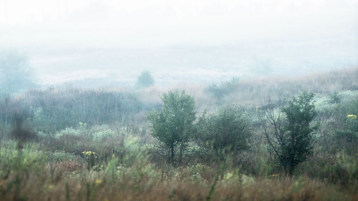 Misty,Morning,,,Foggy,Landscape,.,Summer,Morning,In,The