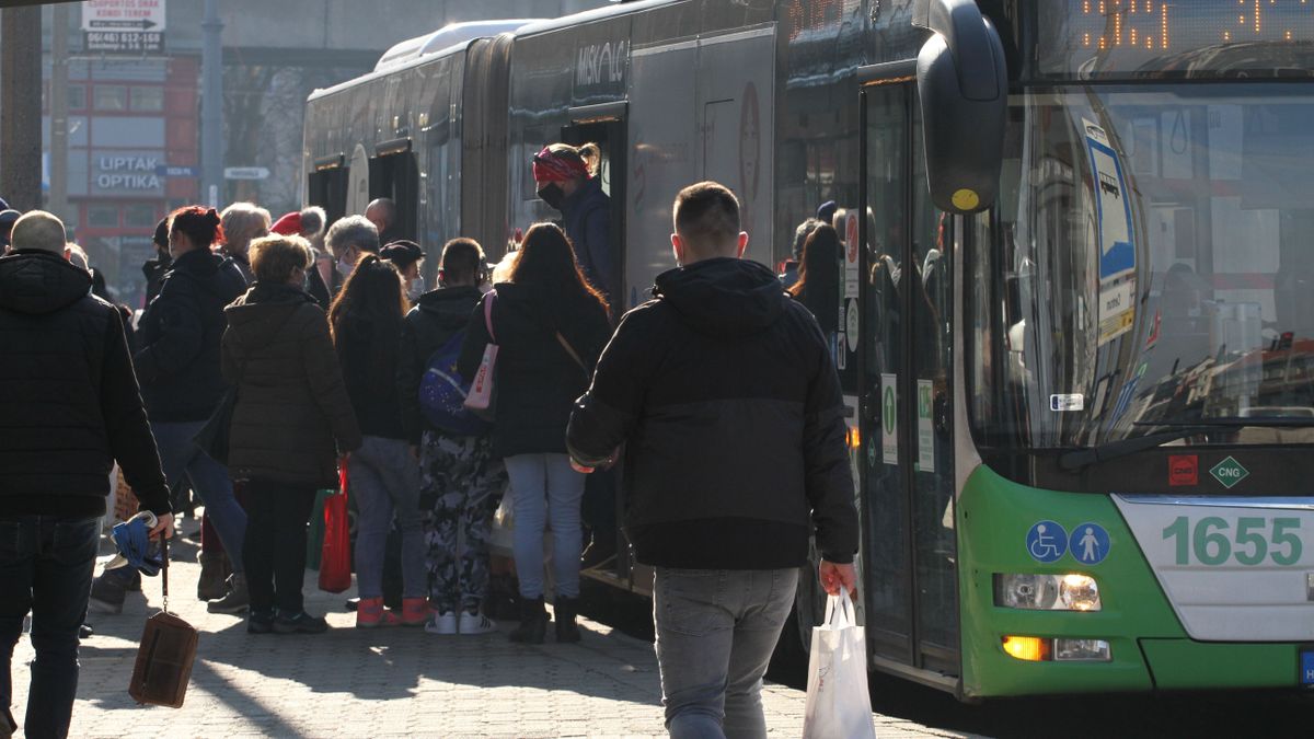 avasi busz