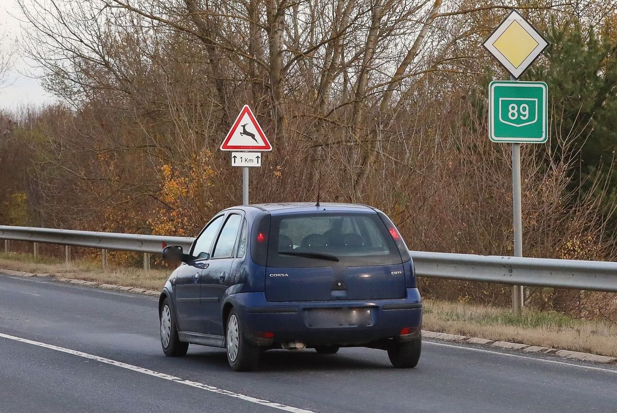 vadgázolás