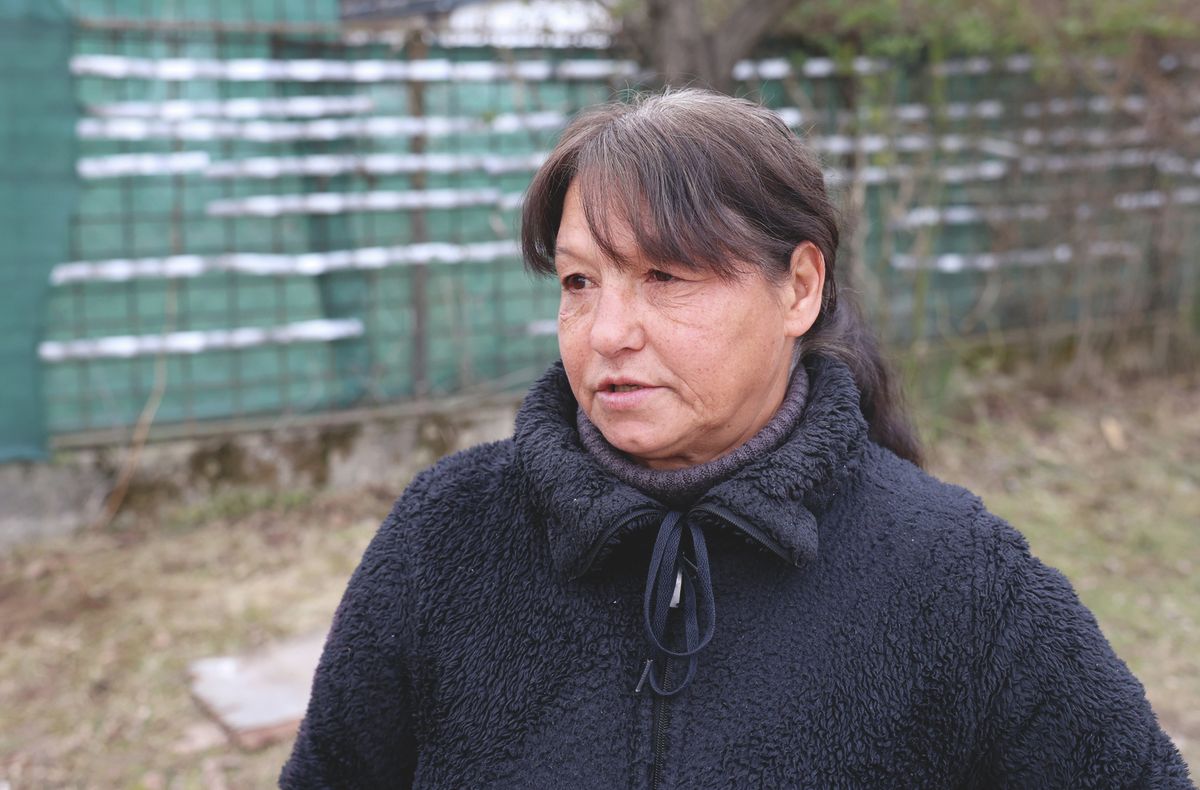 kutyatámadás, pingyom, kutya