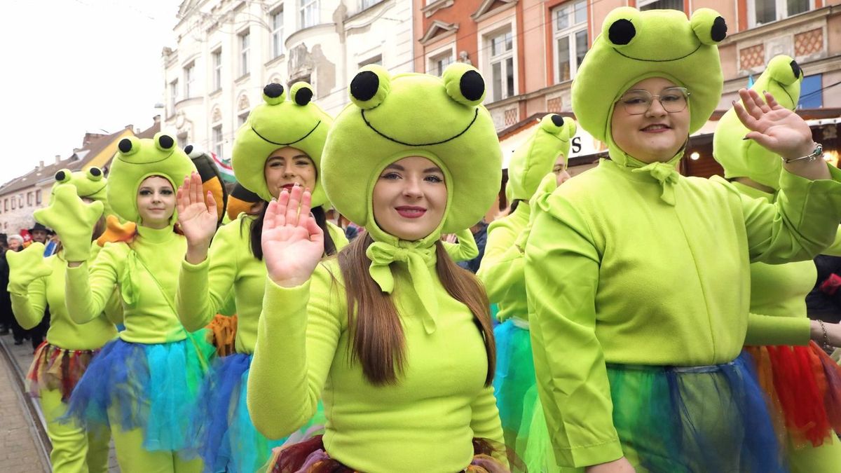 Miskolci Kocsonyafesztivál