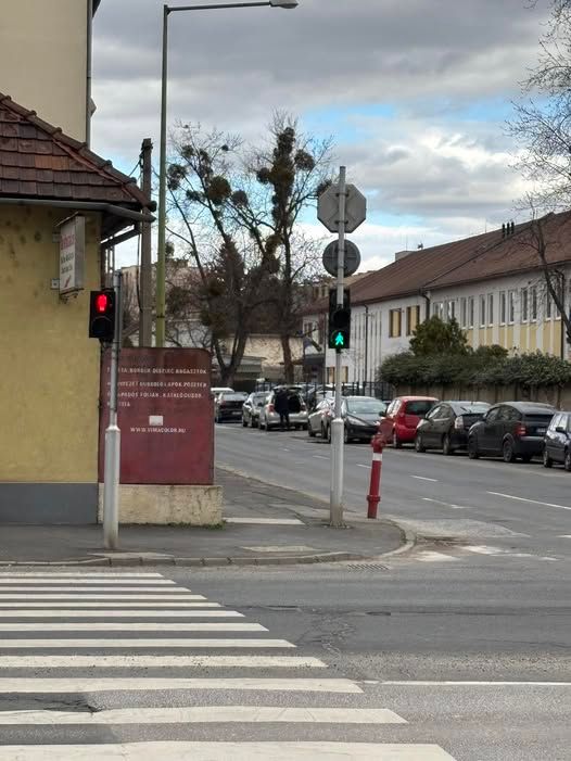 jelzőlámpa, miskolc, zebra