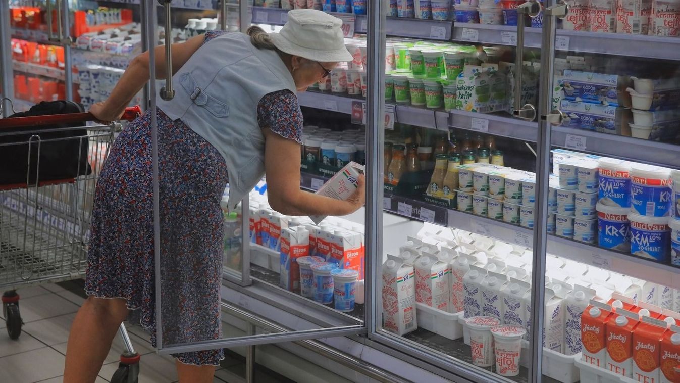 „Ez a mohóság iskolapéldája”: ennyi haszon volt a tejfölön az árrésstop előtt! - videó