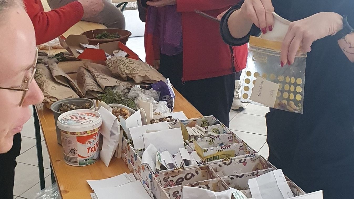 Megvan a Mályi Magbörze következő időpontja