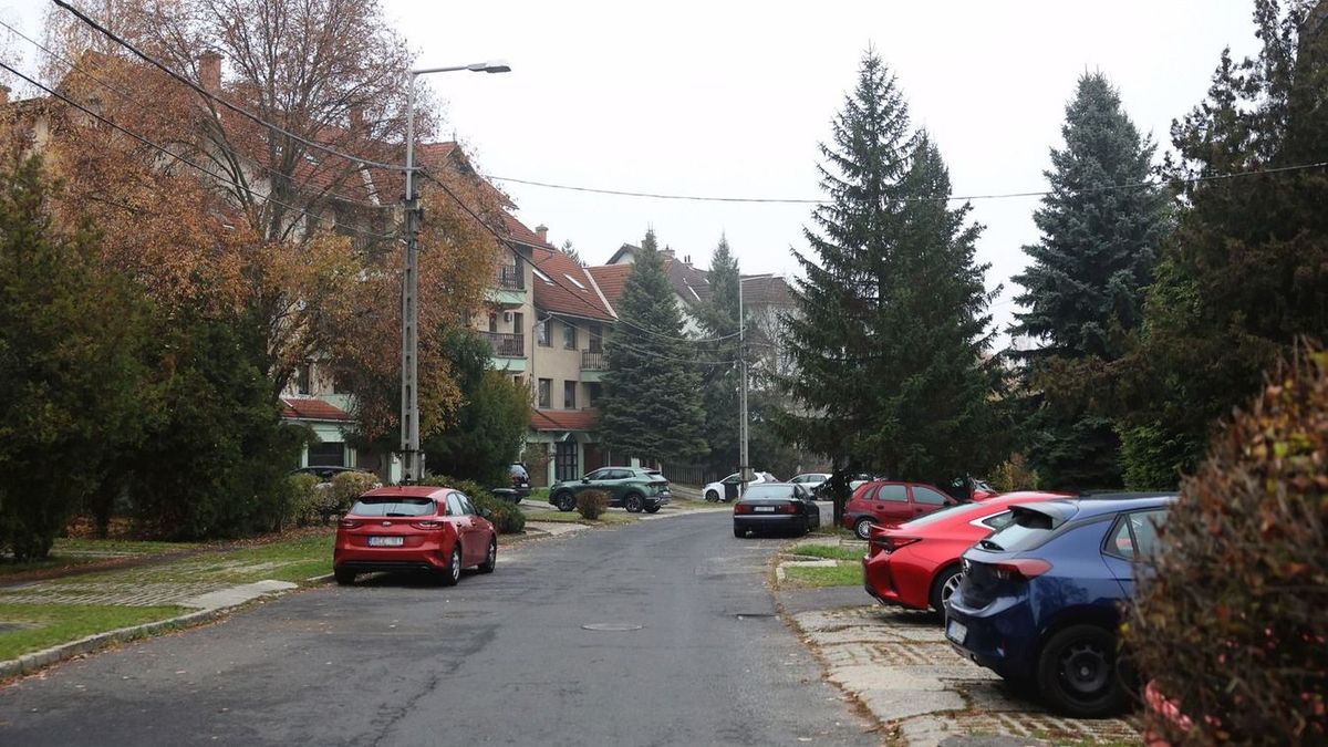 építményadó, adó, határidő, csekk, sárga csekk