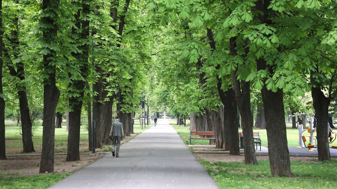 Borsodban is beindult a napféreg rajzása! Jobb, ha békén hagyjuk őket?