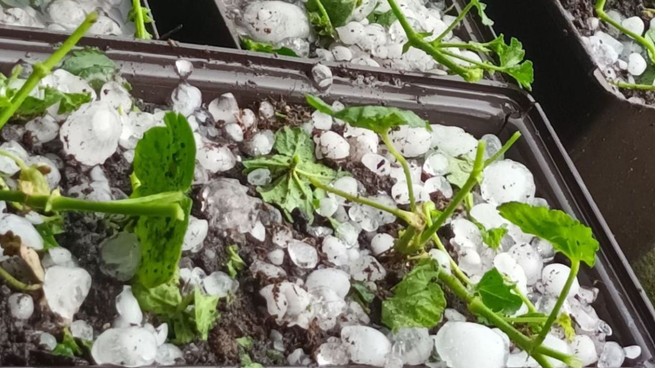 Óriási károkat okozott a jégeső Borsodban - volt munkájuk a tűzoltóknak!