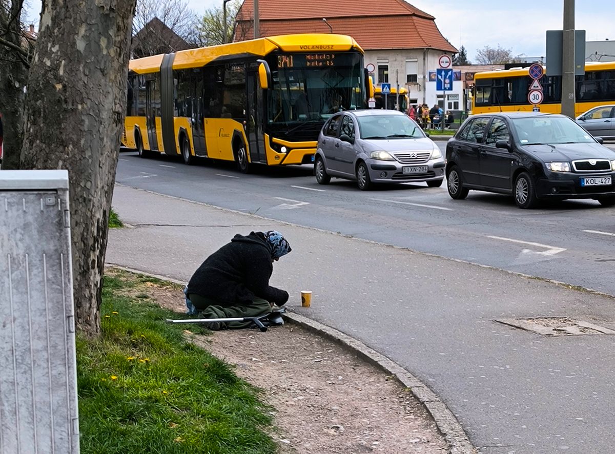 koldus