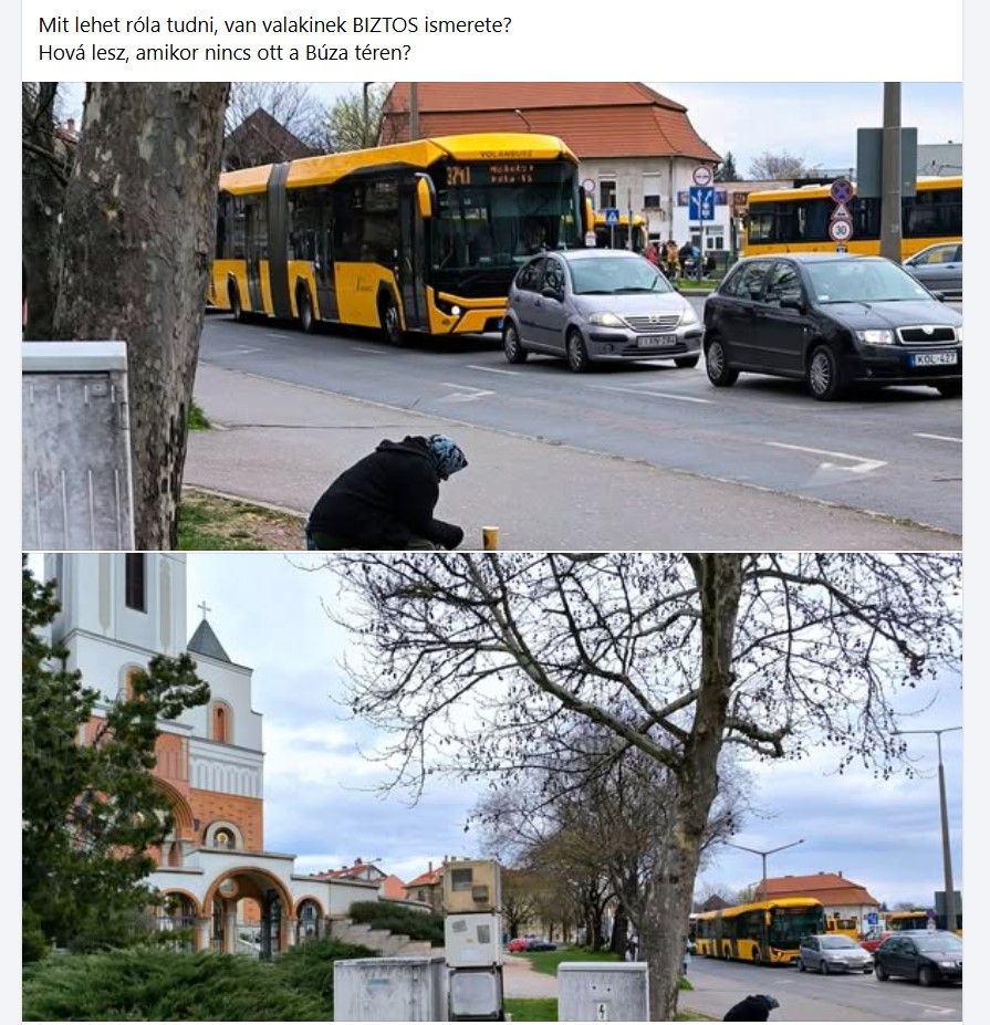 koldus