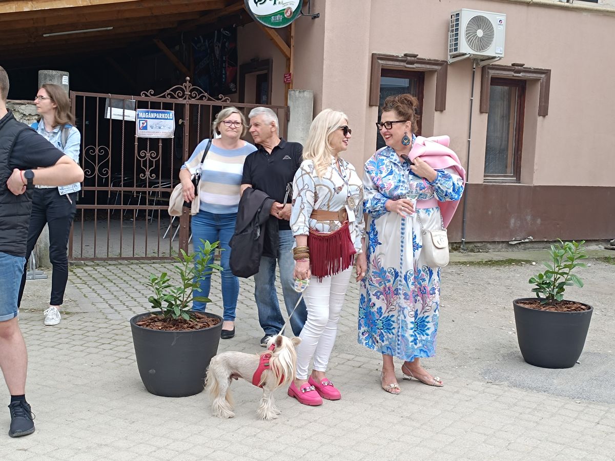 miskolci soho