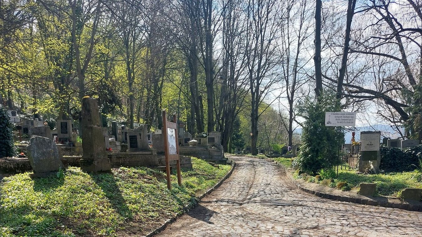 Virágvasárnapi csoda az avasi temetőben