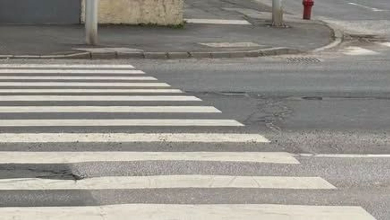 A Városgazda is csak nézte, mi állja el az autóforgalmat - videóval