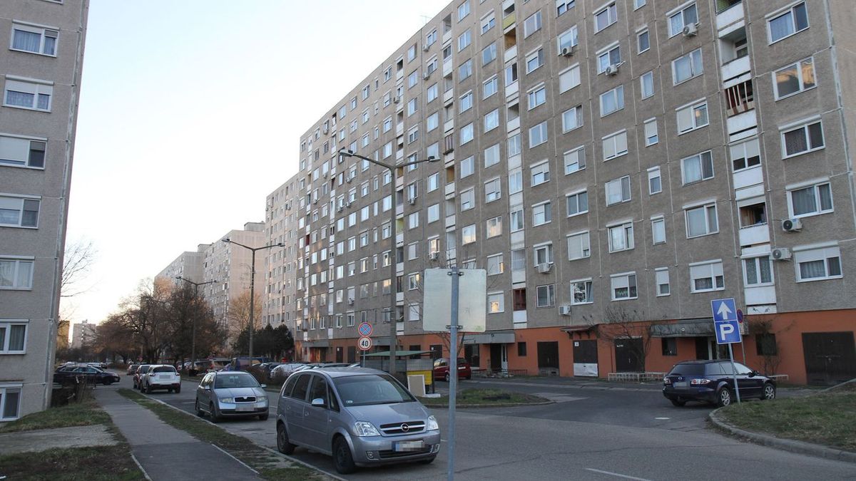 Hónapok óta tart a „műsor” egy miskolci lakásban, most lett elege a többi lakónak – fotóval