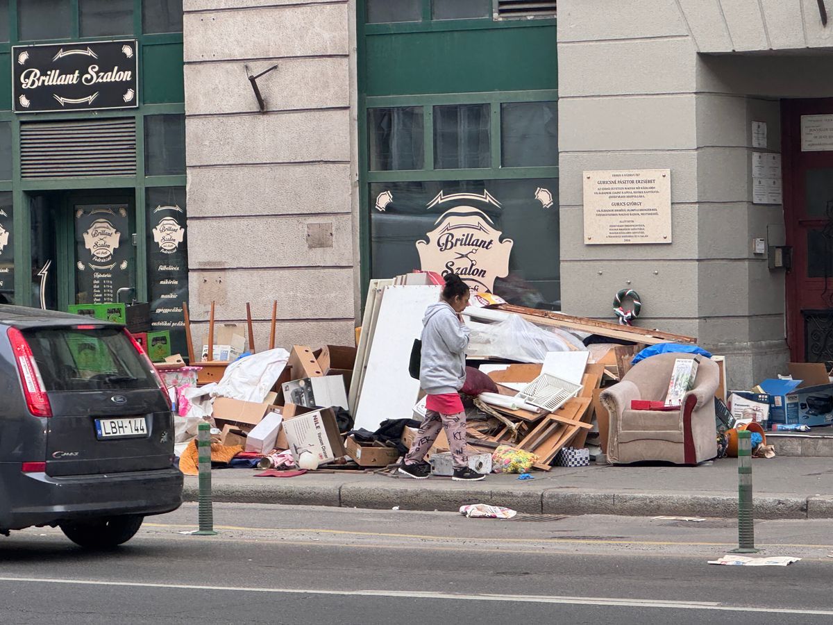 lomtalanítás
