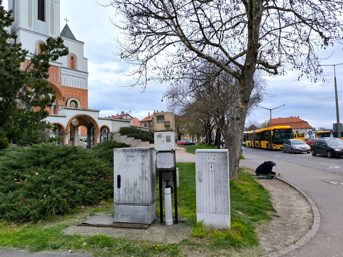 koldus