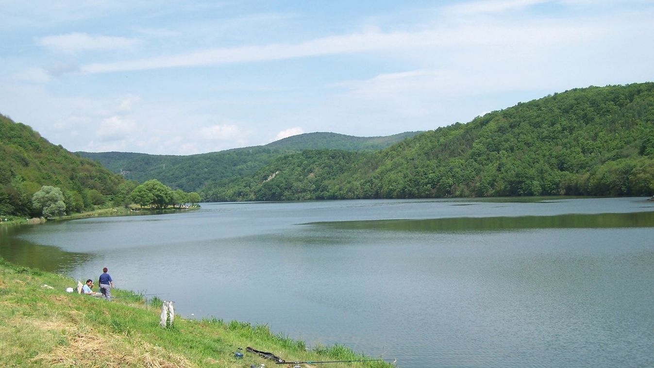 Emberre is veszélyes ragadozó tűnt fel a helyi turistalátványosságnál – hátborzongató pillanat az úton