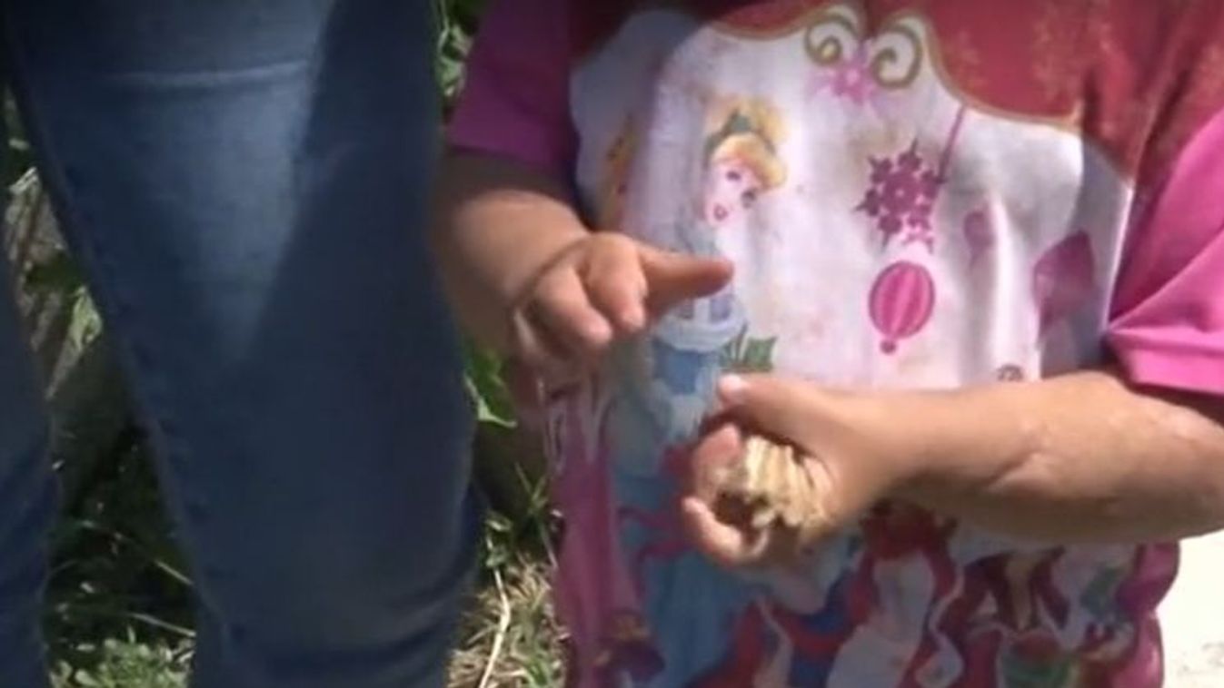 Megtörten nyilatkozott a megvádolt borsodi anya, az ő kislánya esett bele a tűzforró fürdővízbe – videóval