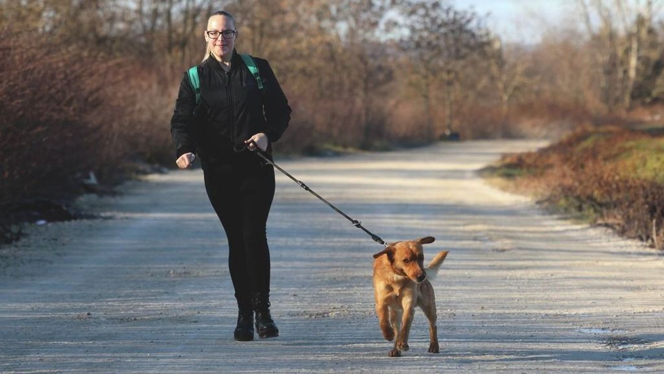 Nincs kutyája, de átélné a kutyázás örömeit? Itt a lehetőség