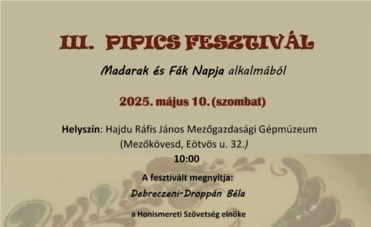 fesztivál