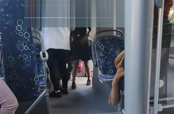 busz trágár utas sofőr buszsofőr