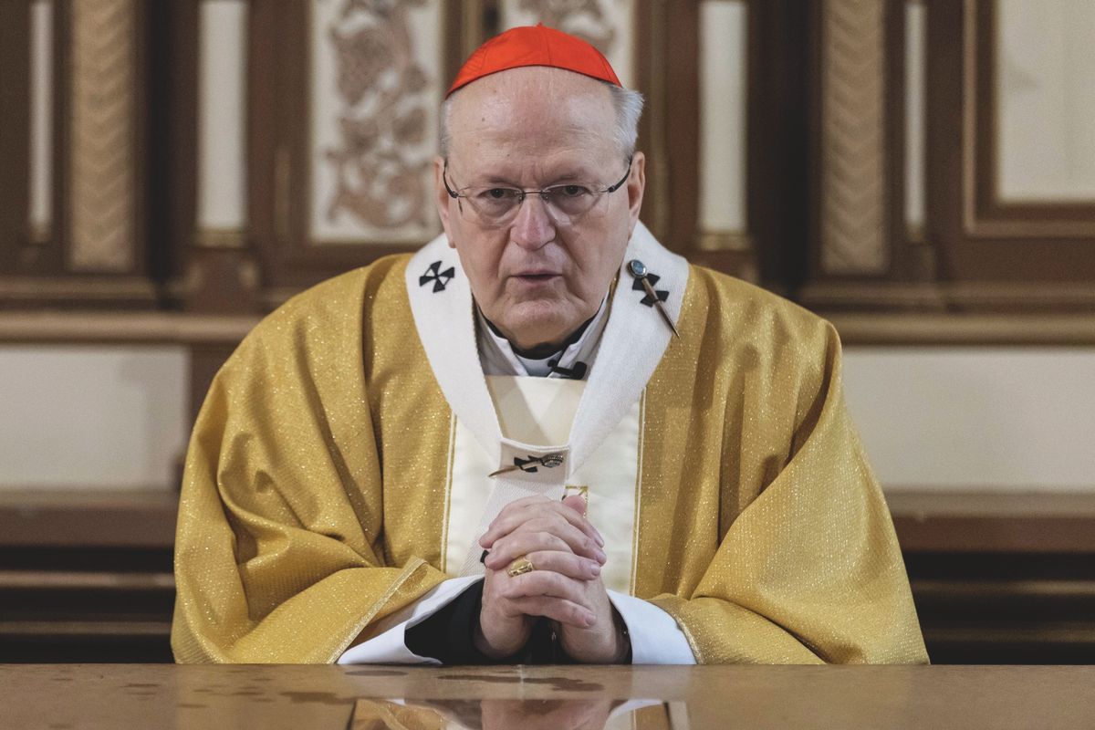 Ferenc pápa utódja, pápa, Erdő Péter
