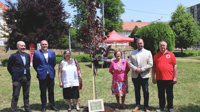 Véradók faültetése a Szent Anna téren