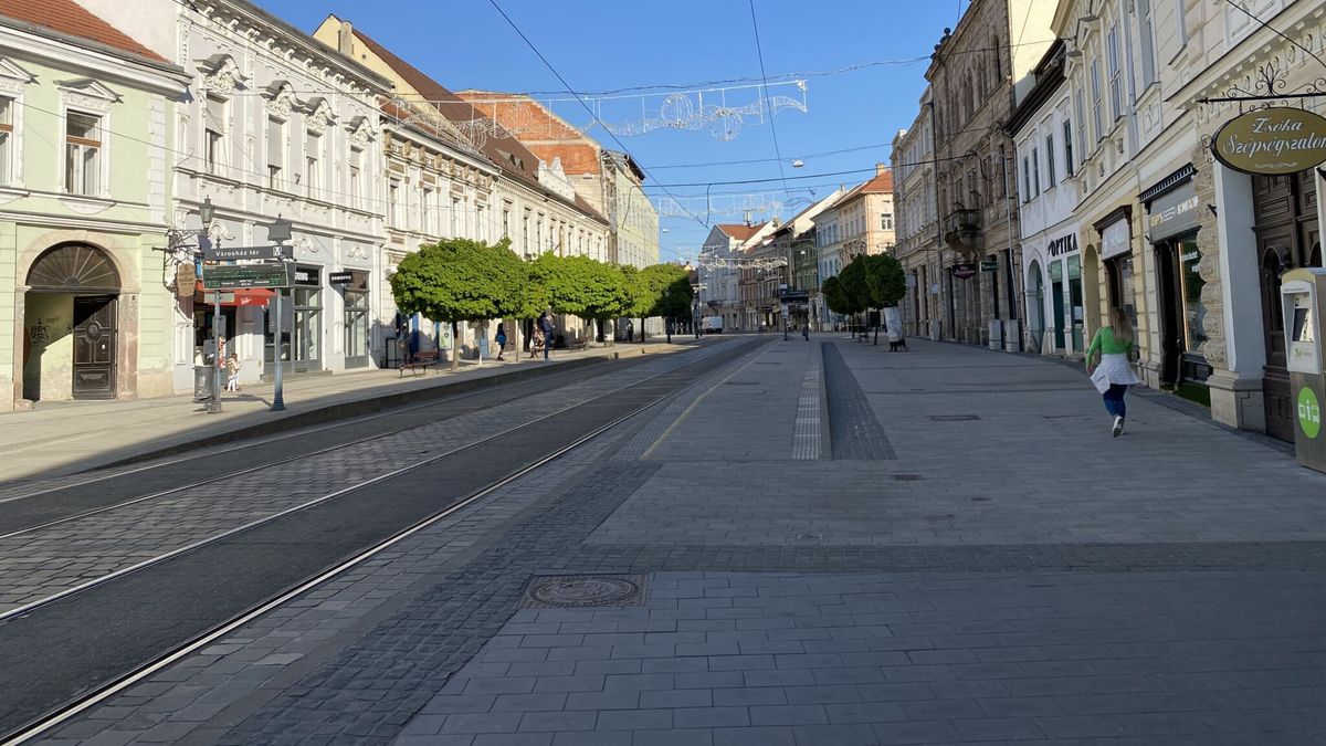 Egy maga nemében hatalmas állat császkált a miskolci éjszakában - képpel, videóval