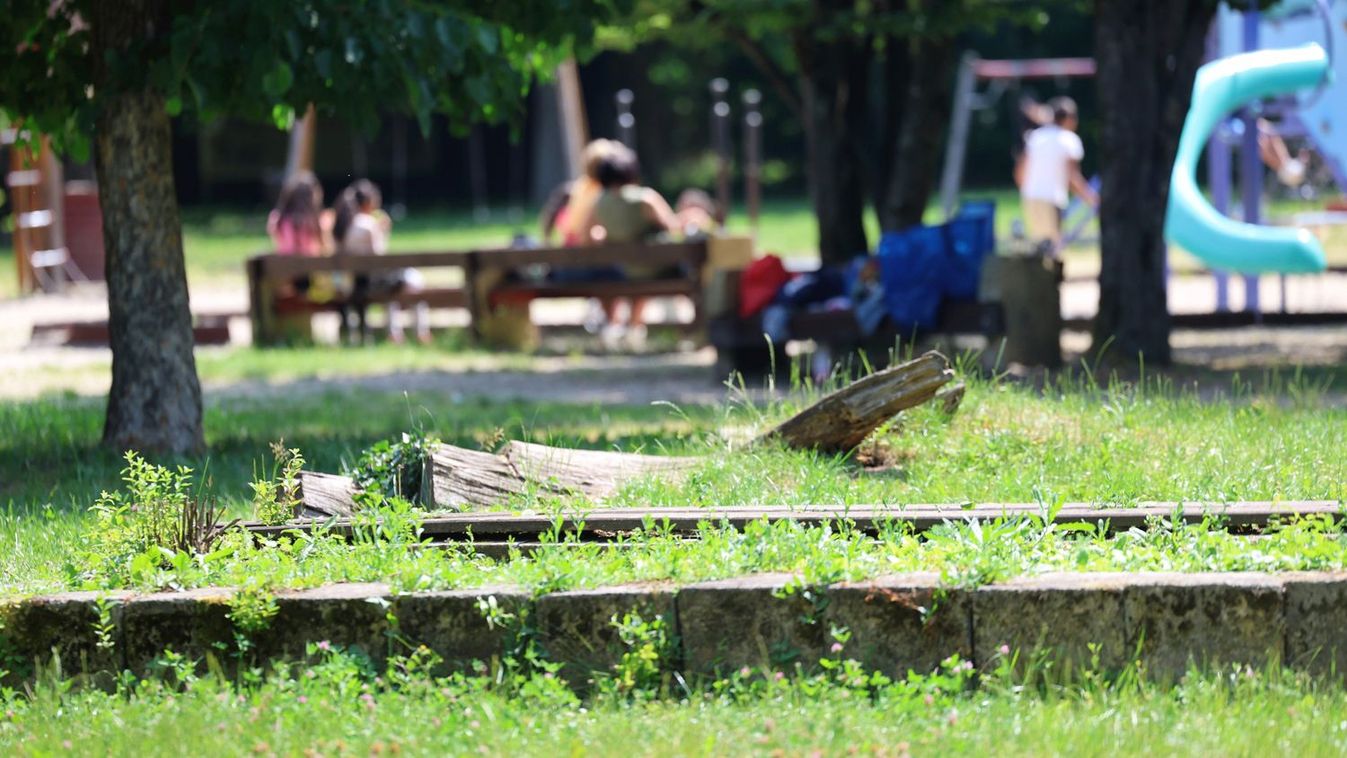 Ezt (is) találja a miskolctapolcai parkban az arra járó - képek, videó!