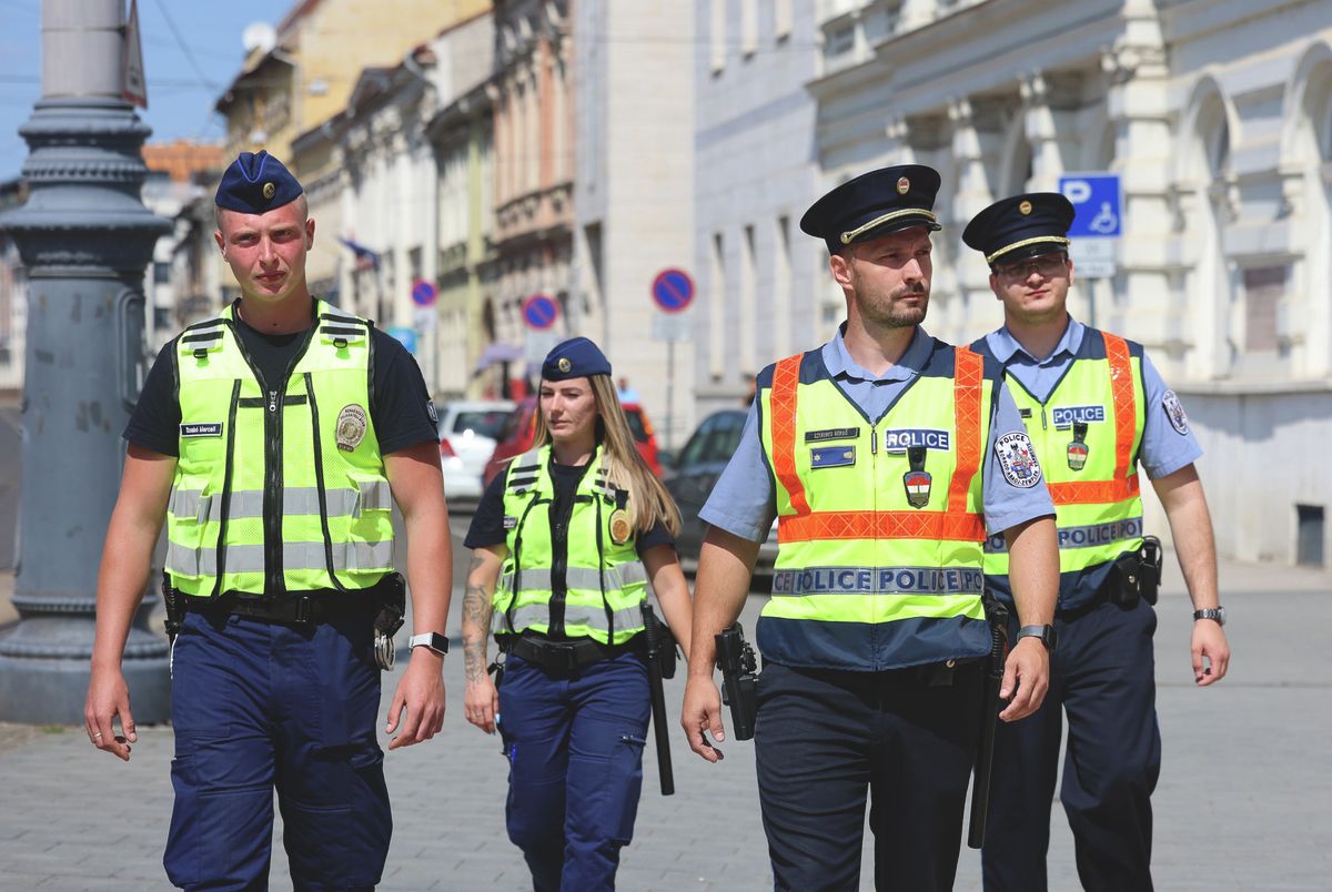koldusmaffia