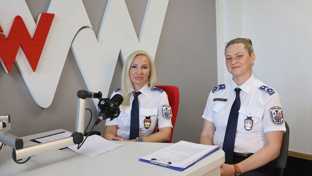 delta program