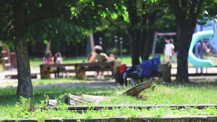 Megviselt állapotban van a másfél éve átadott miskolctapolcai park