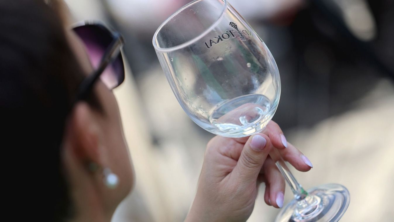 Tokaj ismét leckét adott a világnak – 27 szív együtt dobbanását rejti az új bor + fotók, videó