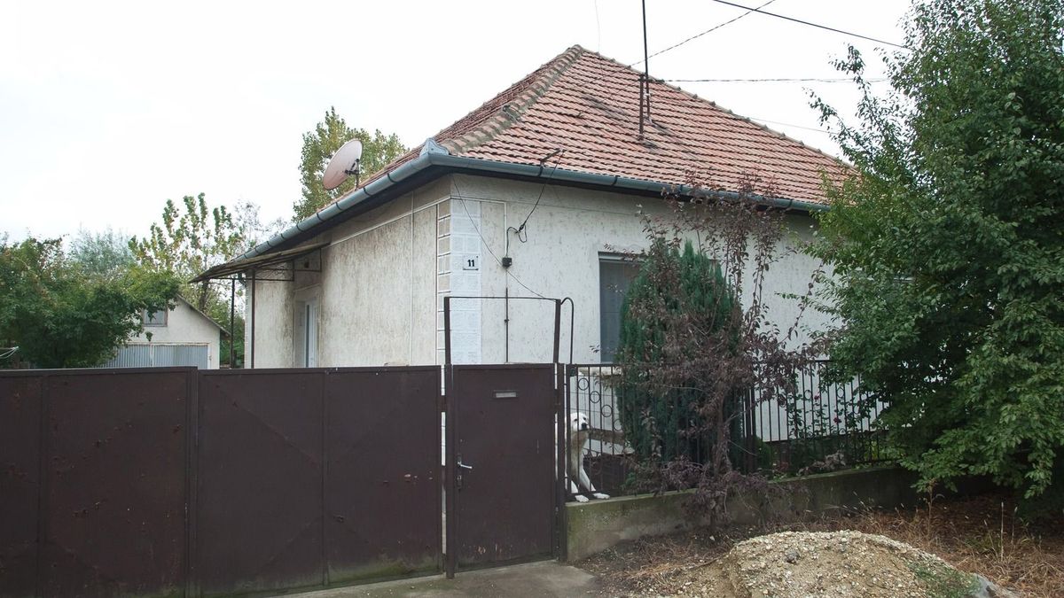 rongál, haragosa autóját, novajidrány