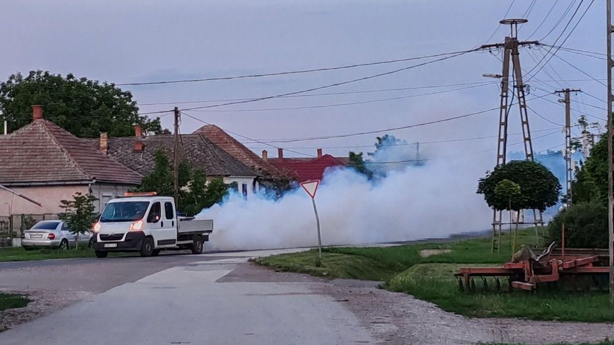 Ne ijedjen meg, ha ilyet lát a lakóhelyén, sőt, örüljön neki!