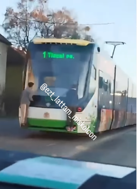 miskolci villamoson lógva utaztak
