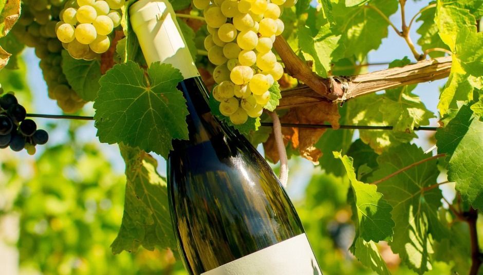 Tokaji borvidék Nébih