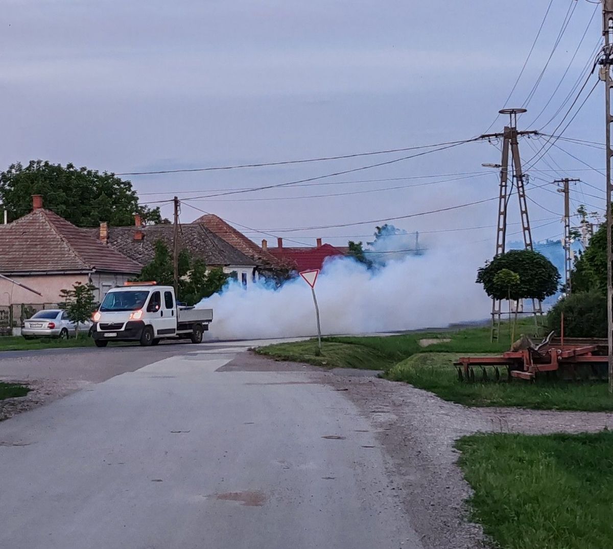 szúnyogirtás, szúnyoggyérítés