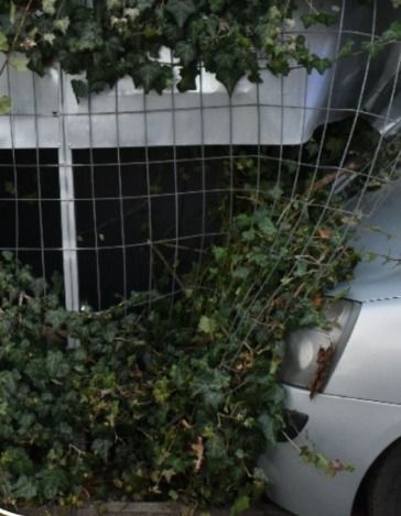 ittas vezető ittas vezetés baleset Borsod-Abaúj-Zemplén Vármegyei Rendőr-főkapitányság