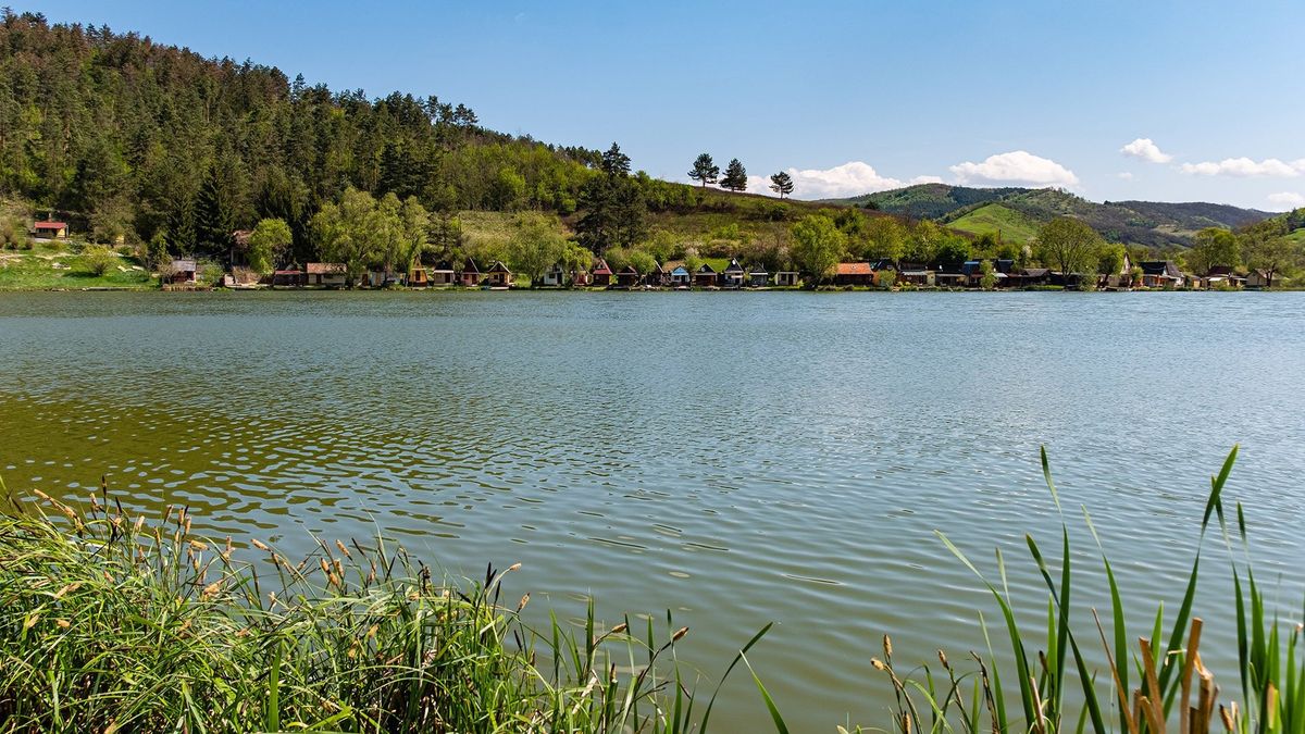 borsodi tavak