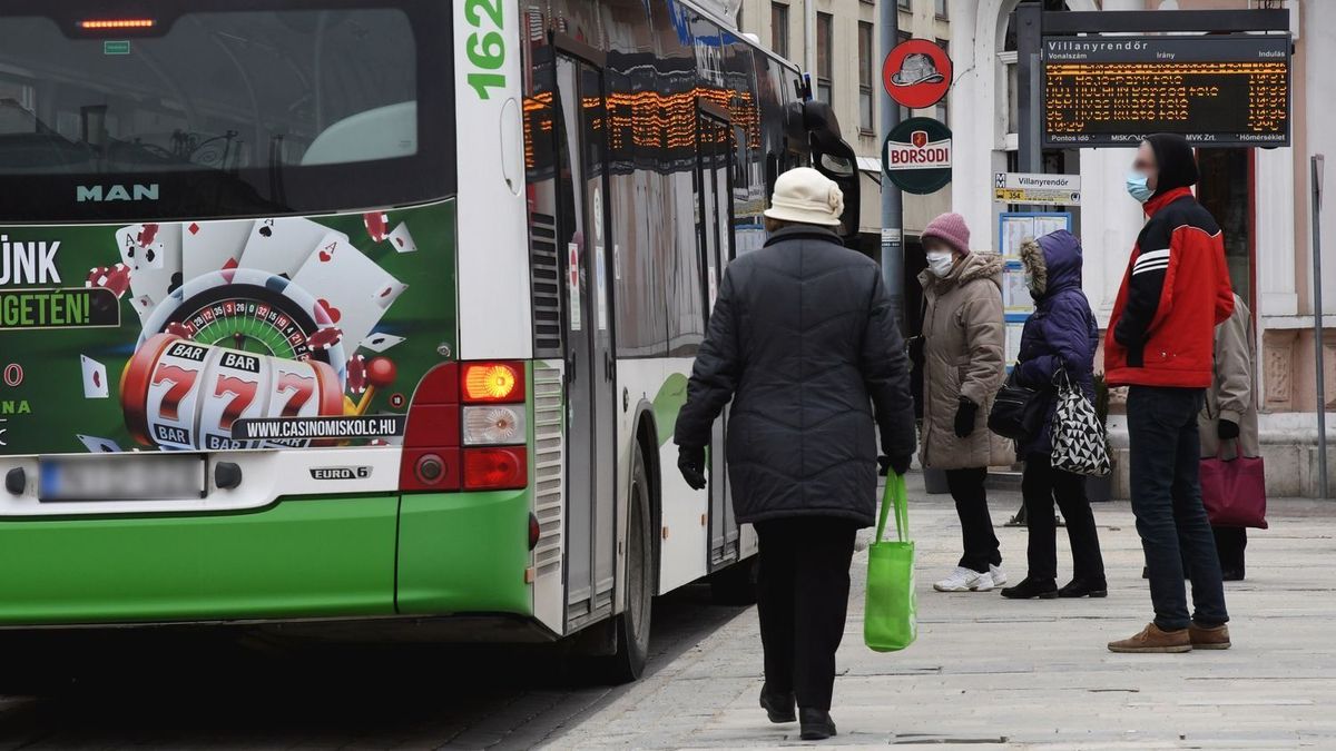 buszvezető, miskolc, buszmegálló