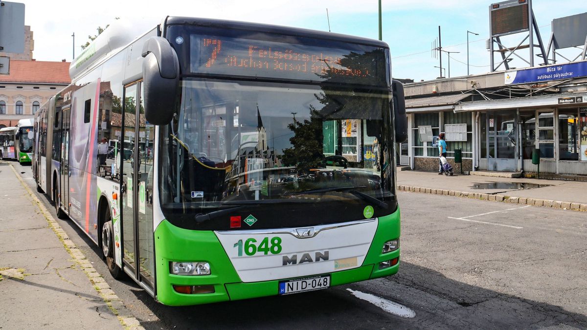 szolidaritási bérlet
