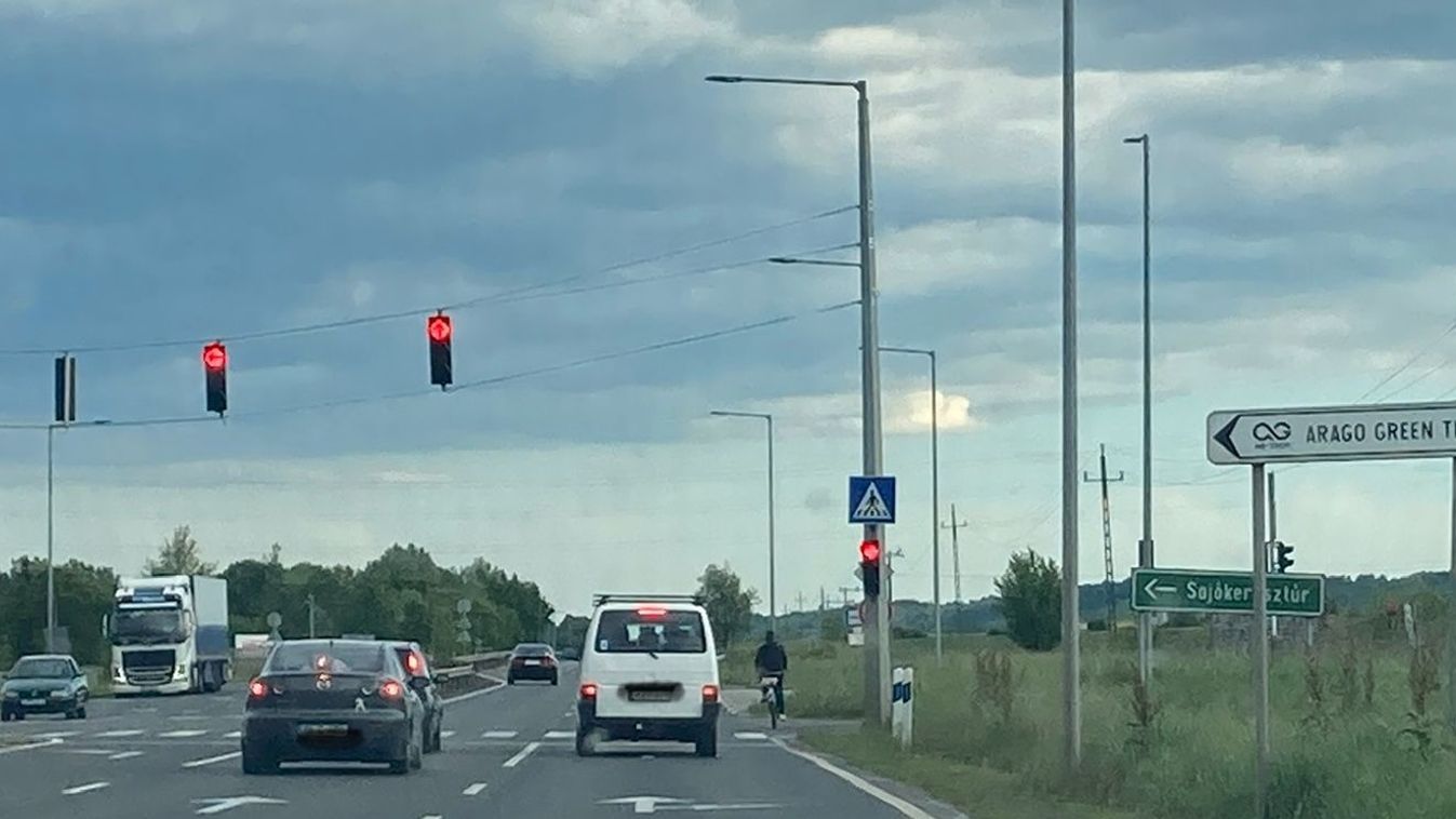 Autósok figyelem! Egy hatalmas állat a borsodi úton, mindenki óvatosan vezessen - fotóval